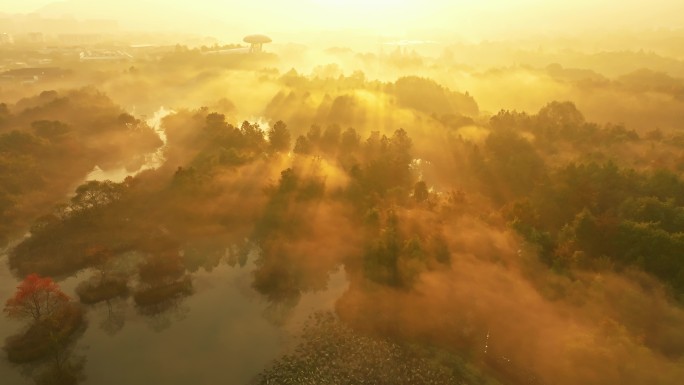 西溪湿地晨雾 6