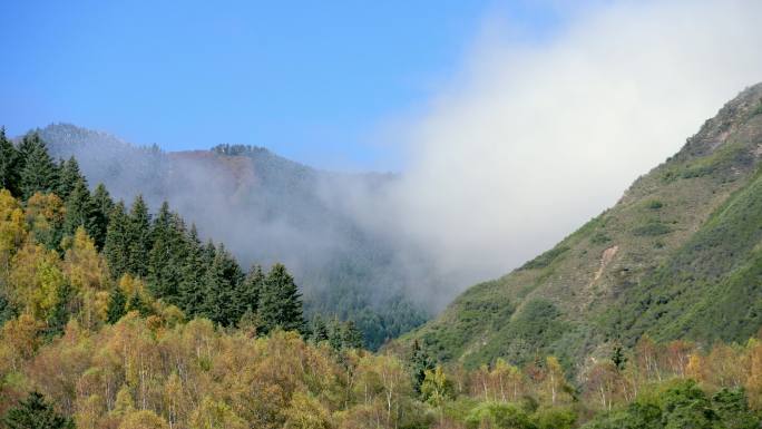 风景 大峪沟 景区 植被 山脉