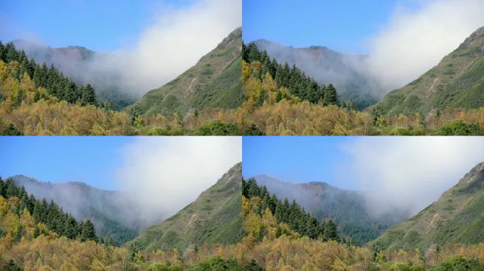 风景 大峪沟 景区 植被 山脉