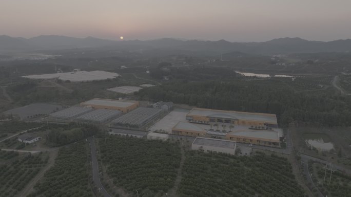中国脐橙产业园航拍