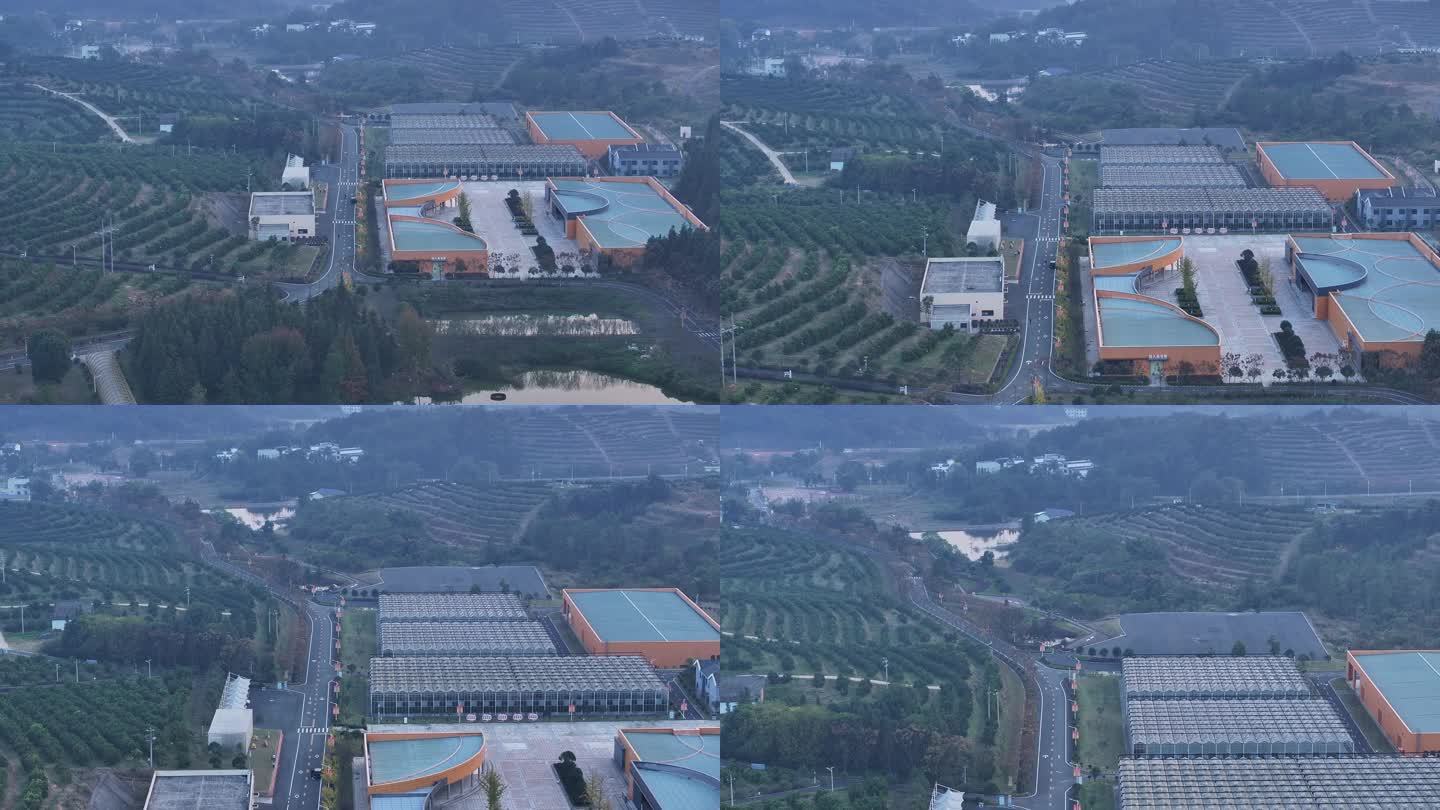 中国脐橙产业园航拍