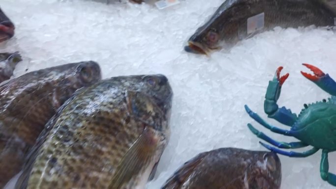 冻鱼在超市柜台上冻着。为餐馆销售鱼，冷冻店橱窗里的新鲜鱼制品，超市的鱼部。4 k