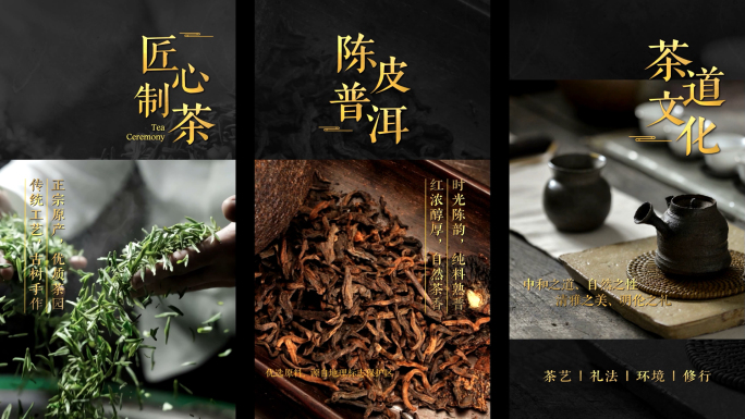 普洱茶国风茶叶文字竖屏手机视频