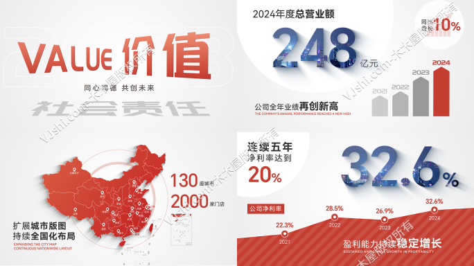 企业年报业绩汇报数据展示