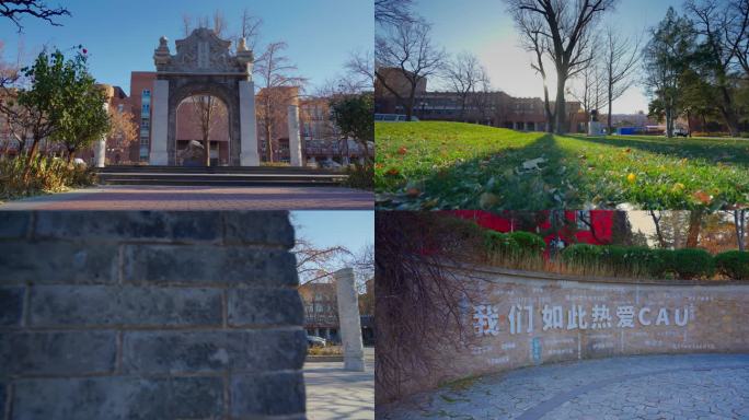 中国农业大学西校区