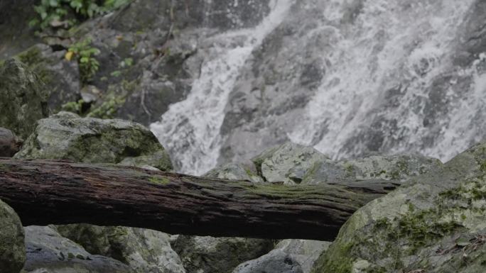 海南五指山热带雨林溪流4k