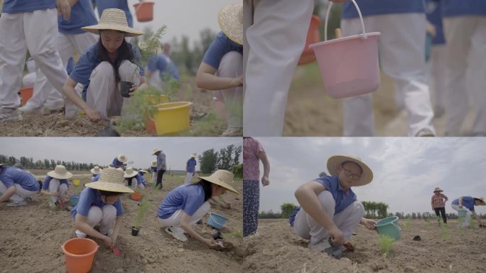 小学生种地研学