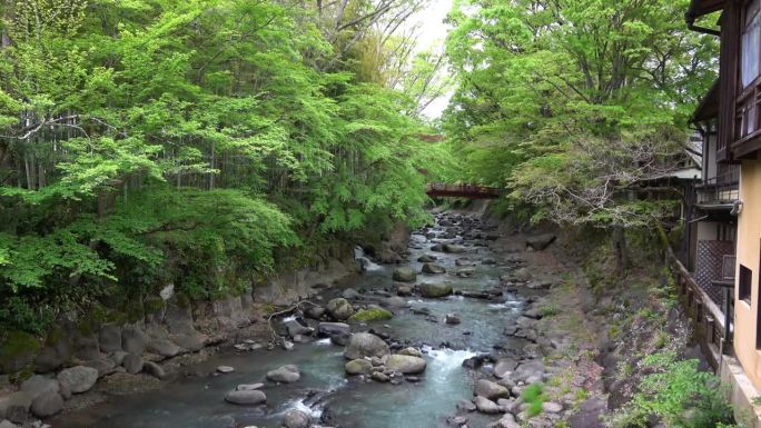 【树禅寺】一条流经翠绿竹林的河流