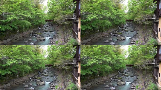 【树禅寺】一条流经翠绿竹林的河流