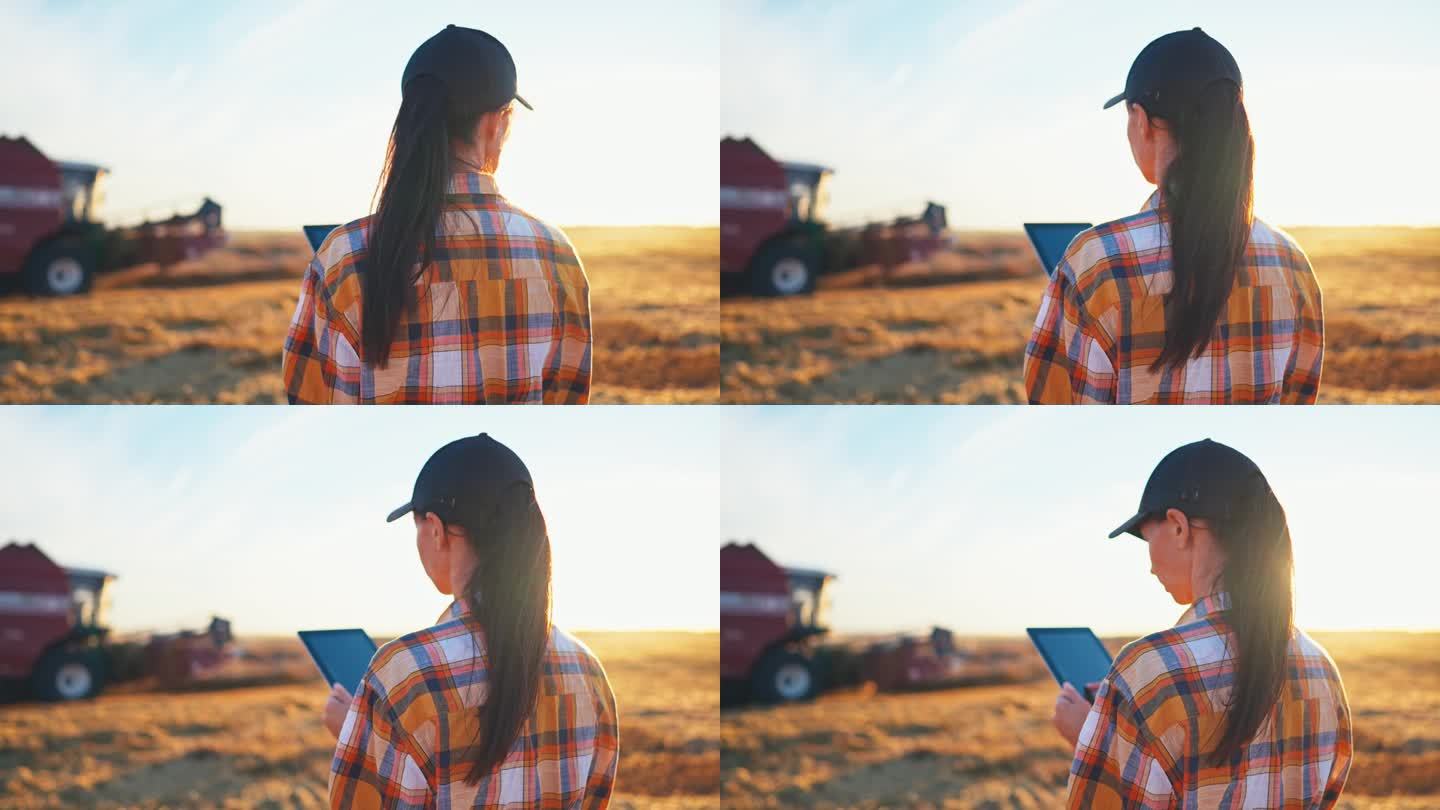 女工程师农民站在那里，手里拿着平板电脑，看着并在线控制麦田里正在工作的拖拉机。联合收割机收割。食品行