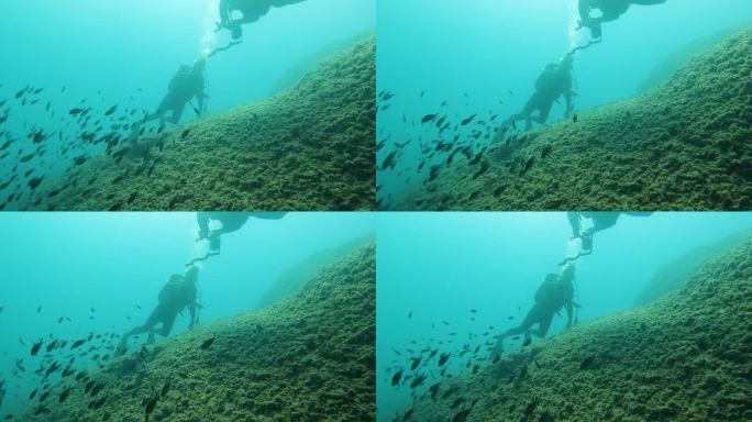 一对潜水员在海里尽情潜水。水下图像。