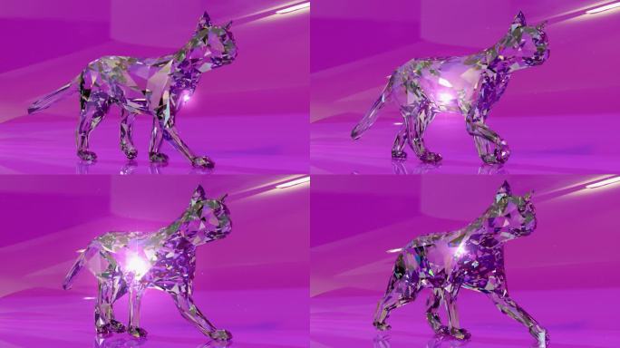 水晶猫01玻璃猫走路