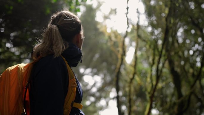 在特内里费岛雄伟的森林生态系统中徒步旅行的妇女