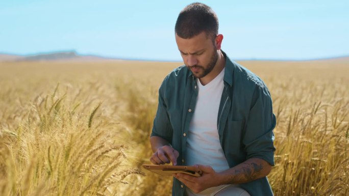 人，农民和平板电脑在田间小麦检验，思考或质量保证的可持续性。农业，谷物和点击增长，数据和评估农场检查