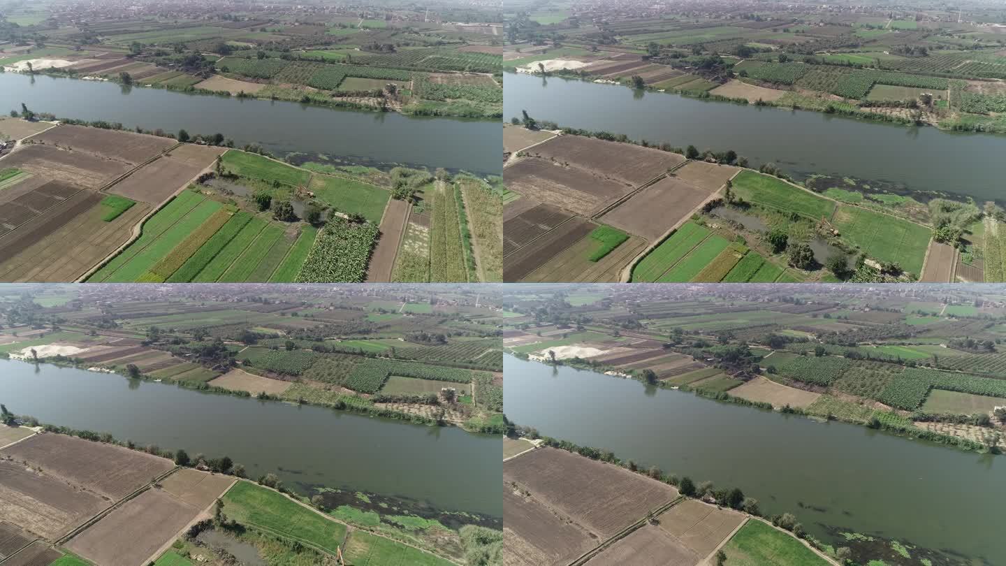 空中拍摄的埃及尼罗河在开罗，被吉萨和埃及北部三角洲尼罗河流域的绿色农田包围