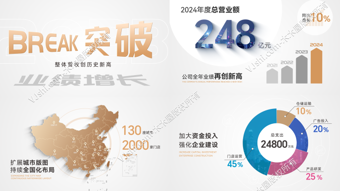 2024企业年报业绩展示数据展示