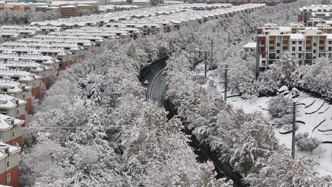 龙口雪景