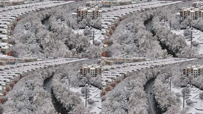 龙口雪景