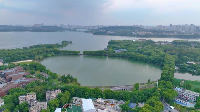 湖北武汉东湖听涛景区航拍自然风光生态旅游