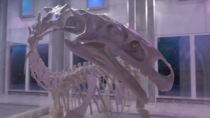 古代历史的概念。恐龙骨架特写。古生物学博物馆。恐龙的头。3 d动画。