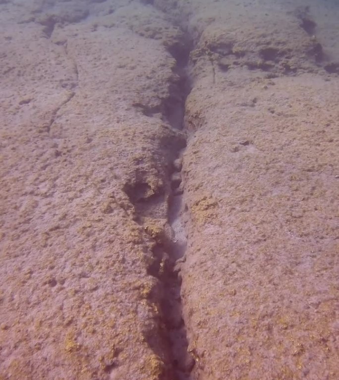 镜头向前移动到布满裂缝的海底岩板上方，慢镜头