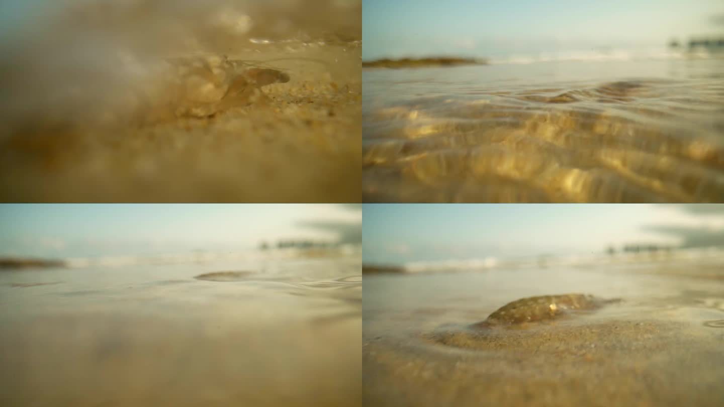 海底生物珊瑚寄居蟹水下微距视频4k