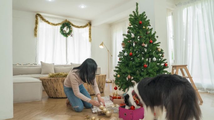 女人喜欢在寒假在家用狗装饰圣诞树。