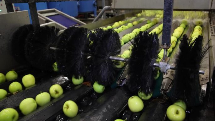 清洁水果包装仓库的新鲜苹果