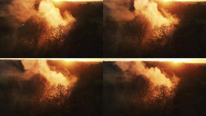 黄昏时树林着火，航拍录像