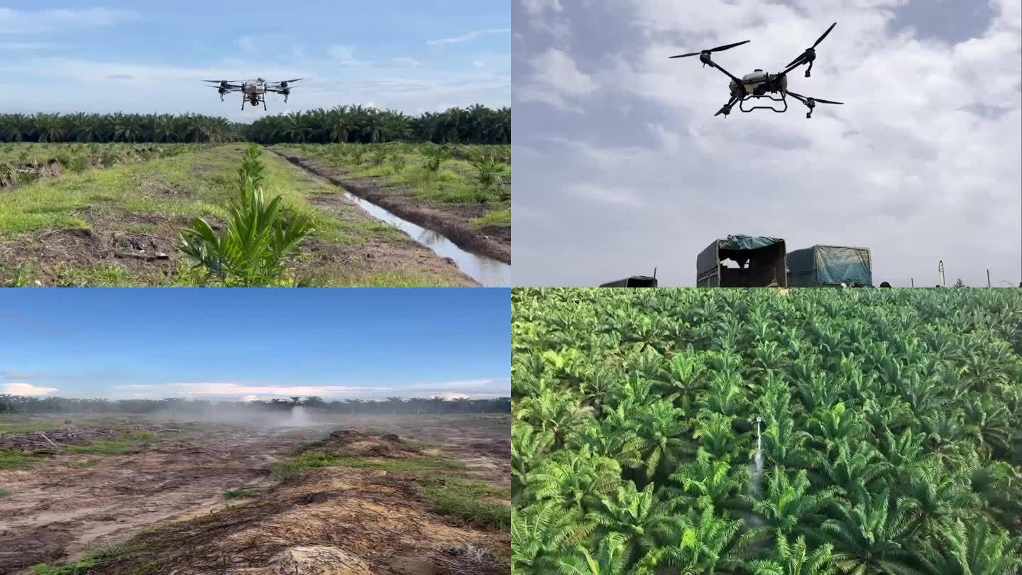 印度尼西亚农用无人机一带一路建设