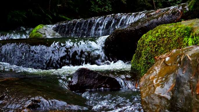 溪流小河顺石阶流下 水往低处流 岩石苔藓