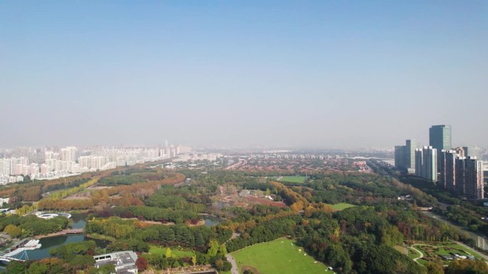 秋天的城市景观，公园和城市天际线。无人机航拍图。中国上海的世纪公园。建筑中间的彩色森林。环境，自然，