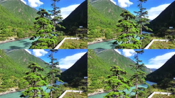 西藏察隅县桑曲河清水河大峡谷