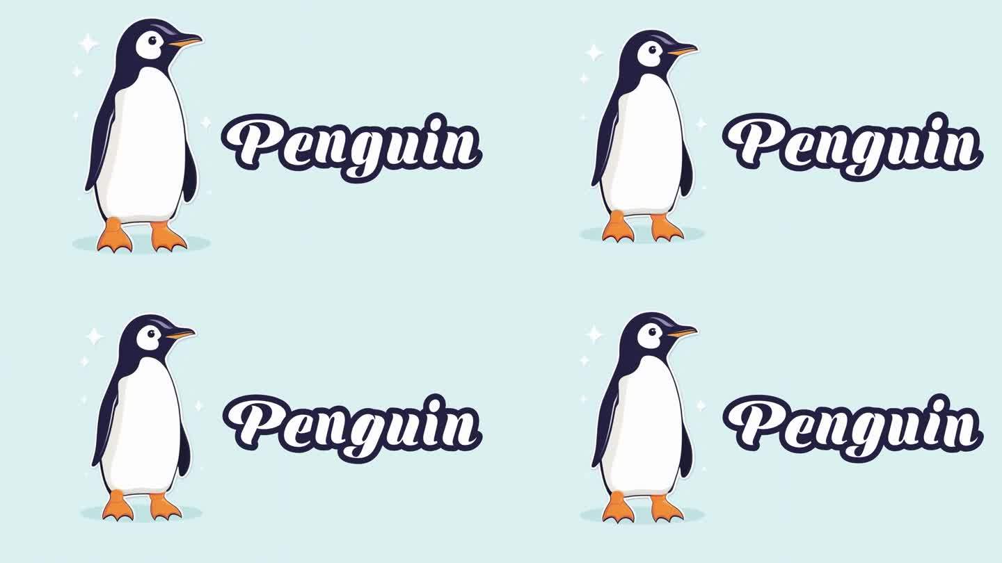 教育动画介绍动物的名字，企鹅动物4k分辨率。