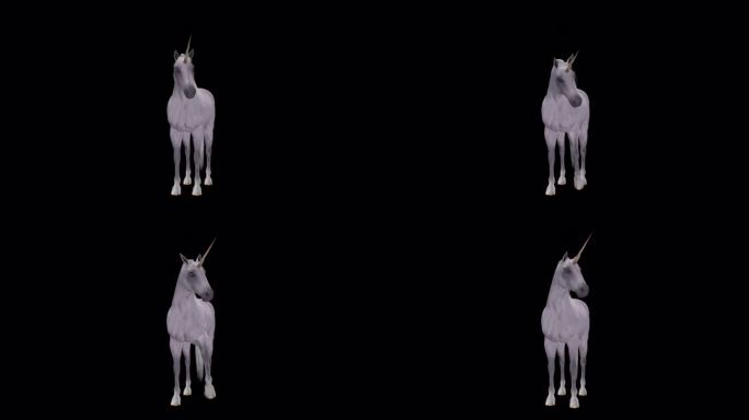 白色独角兽-幻想马-跺脚腿-前视图-透明环