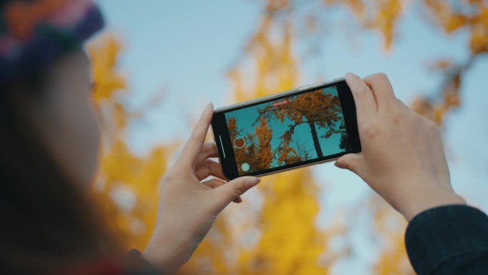 女子用手机拍摄秋天的景色