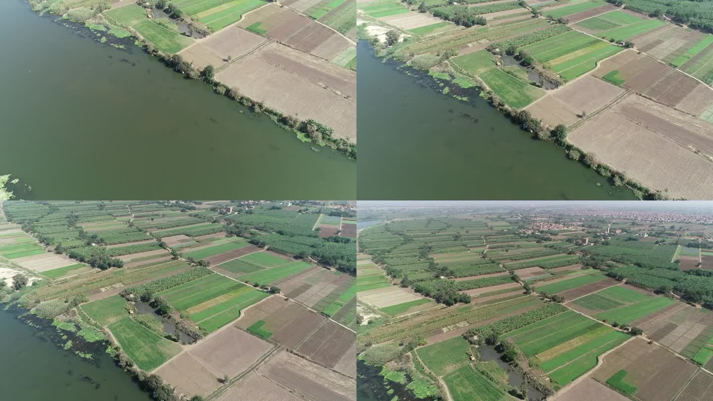 航拍的埃及尼罗河在开罗三角洲被绿色的农业用地包围的尼罗河流域在埃及北部的三角洲