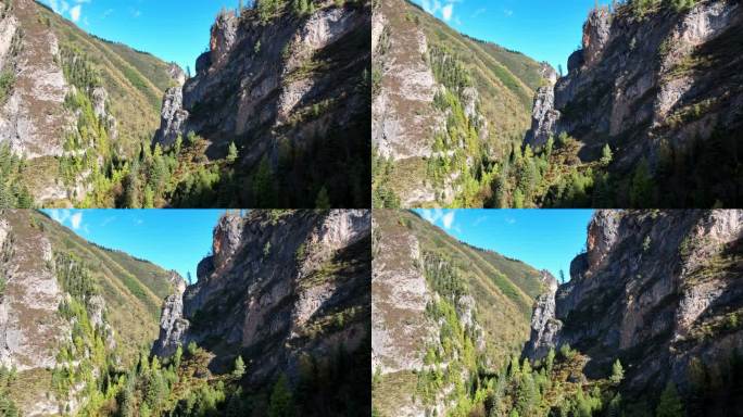 甘南 大峪沟  景区  植被 山脉 山形