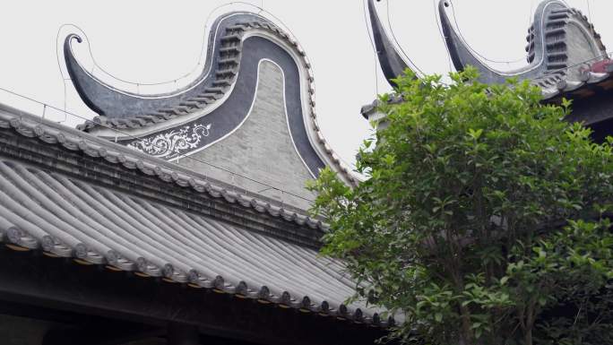 广州市文化馆 历史建筑 广州网红打卡景点