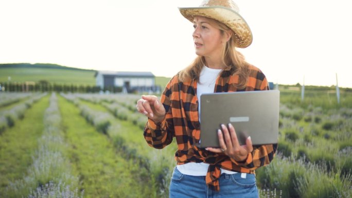 戴帽子的女农民拿着笔记本电脑，查看农村有机农业的收获面积和日落背景数据。女商人利用计算机工作，用技术