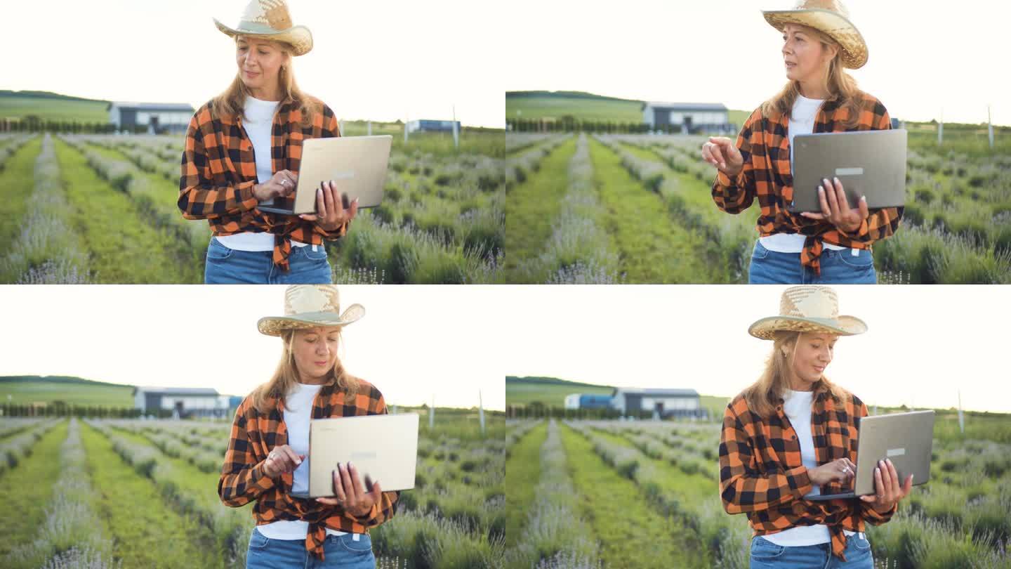 戴帽子的女农民拿着笔记本电脑，查看农村有机农业的收获面积和日落背景数据。女商人利用计算机工作，用技术