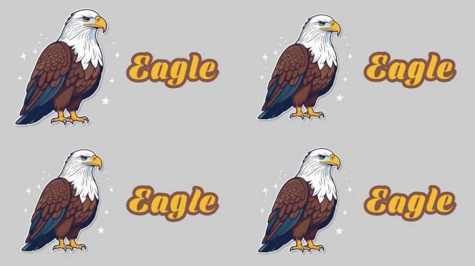 教育动画介绍动物的名字，鹰动物4k分辨率。