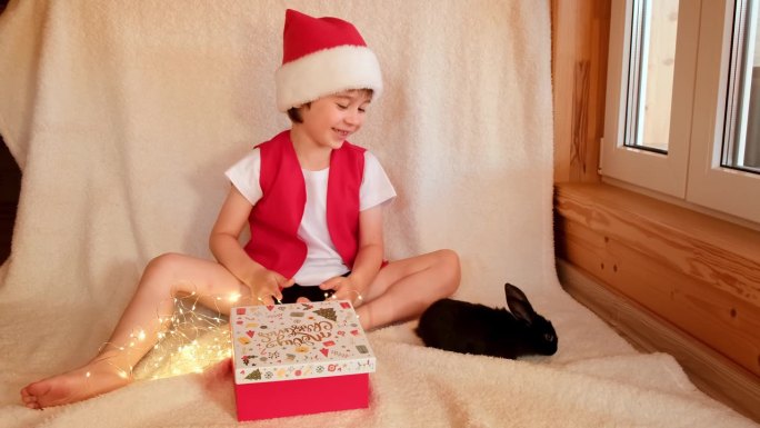 戴着圣诞老人帽子的小男孩正在和黑兔子玩得很开心。有宠物爱的快乐童年。圣诞快乐。兔是中国历法中2023