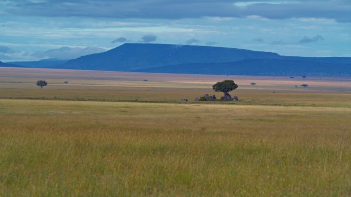 田野和山对着天空的慢镜头。宁静的风景。塞伦盖蒂国家公园。