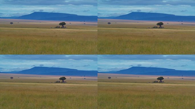 田野和山对着天空的慢镜头。宁静的风景。塞伦盖蒂国家公园。