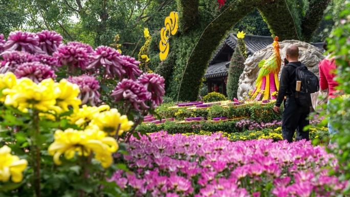 中国广西南宁青秀山第八届菊花展的人多盛况