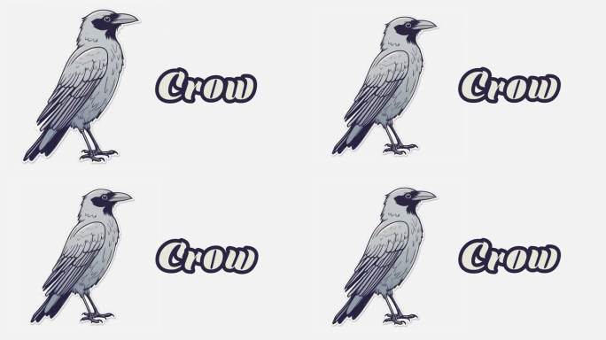 教育动画介绍动物的名字，乌鸦动物4k分辨率。