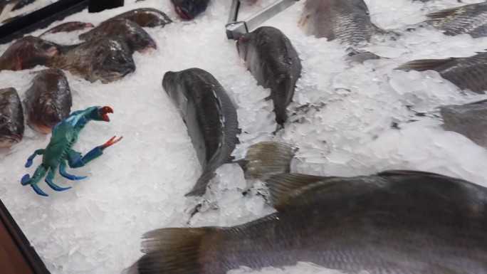 冻鱼在超市柜台上冻着。为餐馆销售鱼，冷冻店橱窗里的新鲜鱼制品，超市的鱼部。4 k