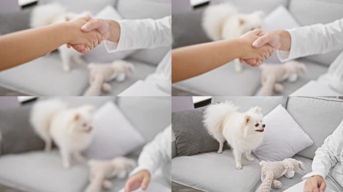 在家里，一位英俊的年轻白人男子和他的宠物狗热情地欢迎兽医，在客厅里热情地握手