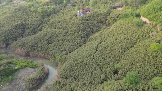 西安灞桥鲸鱼沟景区41